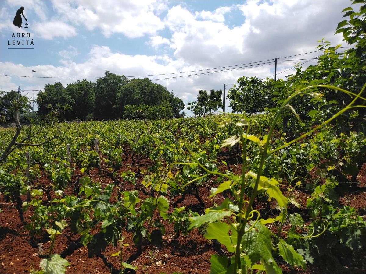 Agro Levità Acomodação com café da manhã Locorotondo Exterior foto